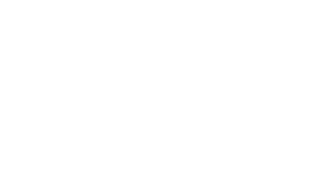 Seal Swims Plett